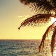 Profile picture of rafael