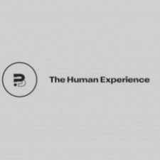 Profile picture of BeCurious Studio