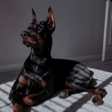 Profile picture of Пересунько Олена Дмитрівна