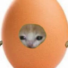 Profile picture of Nikolai Stoichev