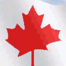 Profile picture of YY APPLICATIONS INC