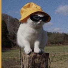 Profile picture of kayan majadly