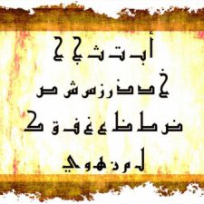 Profile picture of Rana Hamawi