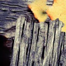 Profile picture of CaitlinCameron