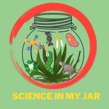 Profile picture of Science in my Jar