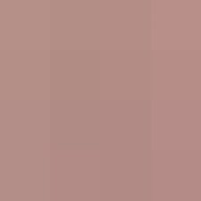 Profile picture of RANEEM TAWEEL