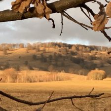 Profile picture of Paula Dobrin