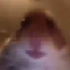 Profile picture of Yunus Emre TOPALI