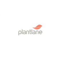Profile picture of PLANTLANE RETAIL PRIVATE LIMITED