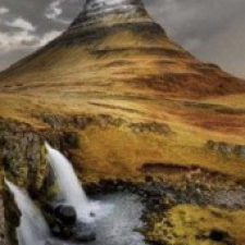 Profile picture of Salam younis