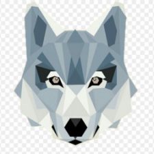 Profile picture of laura lupo