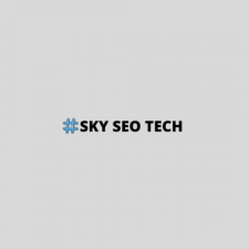 Profile picture of Sky Seo Tech