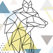 Profile picture of laura