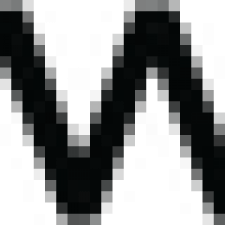 Profile picture of perfectwhitetee