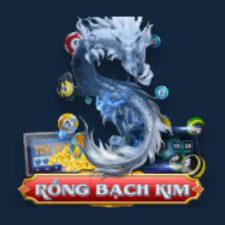 Profile picture of Rồng bạch kim Me