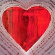 Profile picture of Haviv Cohen