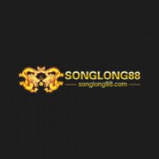 Profile picture of songlongnet