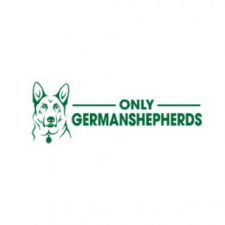 Profile picture of Only German Shepherds