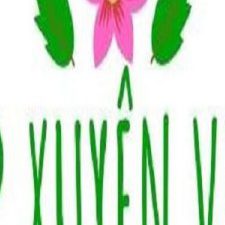 Profile picture of Top Xuyên Việt