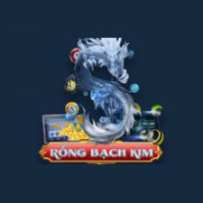 Profile picture of Thong Ke Xo So Mien Bac