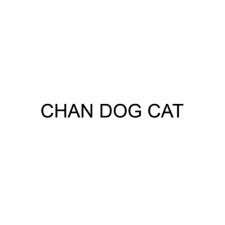 Profile picture of Chan Dog Cat