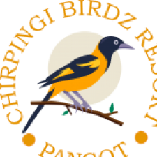 Profile picture of Chirpingibirdzresort