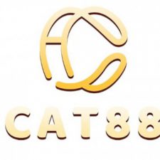 Profile picture of Cat88 - Trang Chủ Đăng Ký, Đăng Nhập Nhà Cái Cat88 Uy Tín