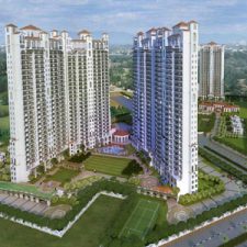 Profile picture of Rinki Verma