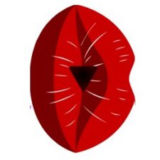 Profile picture of Gái Xinh Thủ Dâm