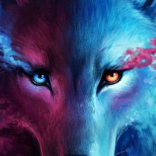 Profile picture of yoyo veisser