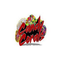 Profile picture of Candy Corals