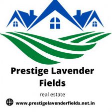 Profile picture of Prestige Lavender Fields