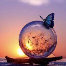 Profile picture of Amanda Eldaw