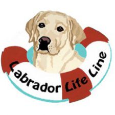 Profile picture of Labrador Life Line