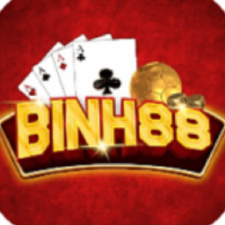 Profile picture of BINH SAM