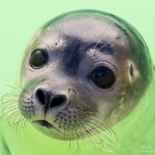 Profile picture of tavor cohen