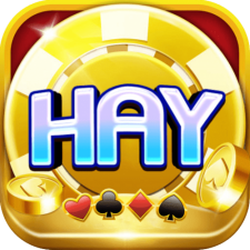 Profile picture of Hayvin Blog