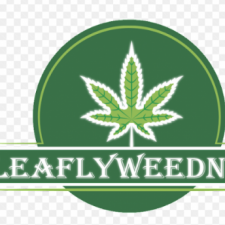 Profile picture of LeaflyweedNYC