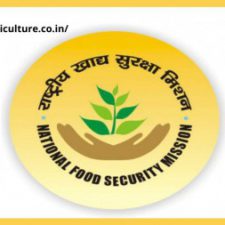 Profile picture of Anurag Joshi