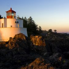 Profile picture of vikareefr