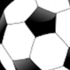 Profile picture of Tiengruoi