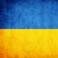 Profile picture of Nikita