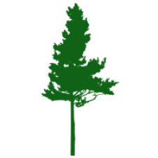 Profile picture of Abbotsford Tree Specialists