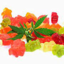Profile picture of Martha Stewart CBD Gummies