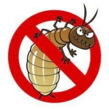 Profile picture of Diệt mối Anh Tuấn