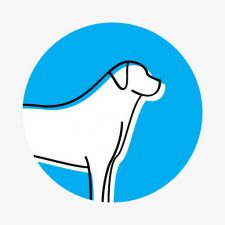 Profile picture of pawsomedogcares