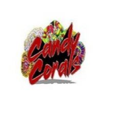 Profile picture of Candy Corals