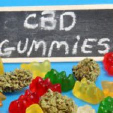 Profile picture of Martha MacCallum CBD Gummies