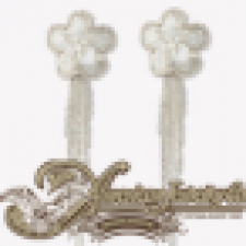 Profile picture of The American Jewelry Store