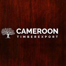 Profile picture of Cameroon Timber Export Sarl